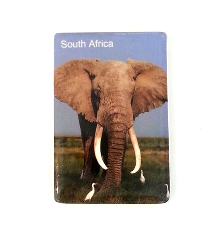 Ceramic Magnet - Elephant Grasslands - Click Image to Close